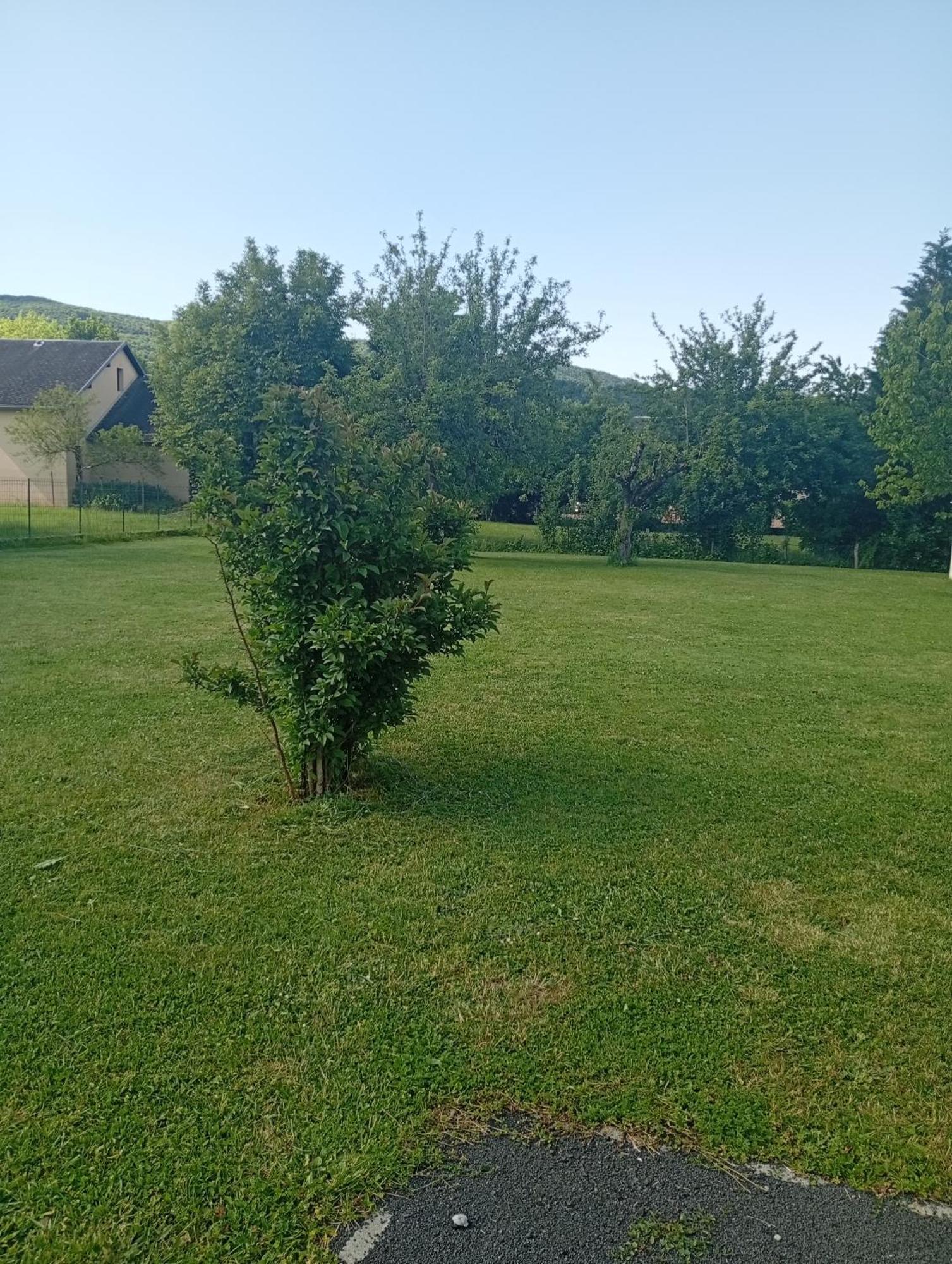 La Clematite D'Olt Apartamento Saint-Côme-dʼOlt Exterior foto